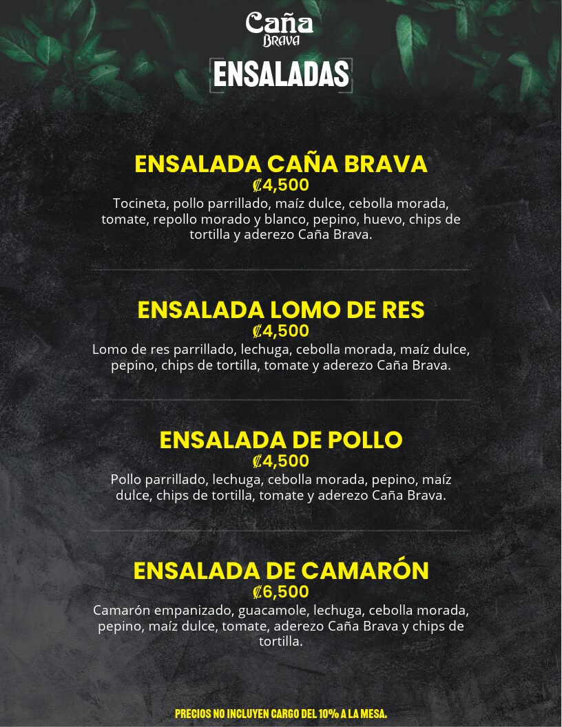 Comida 2